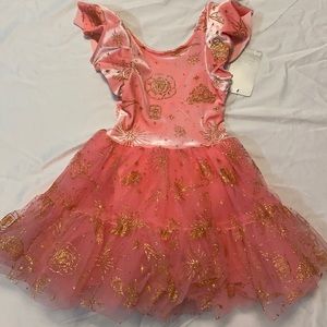 Disney Princess Little Girl Size 4 Leotard Tulle dress NWT